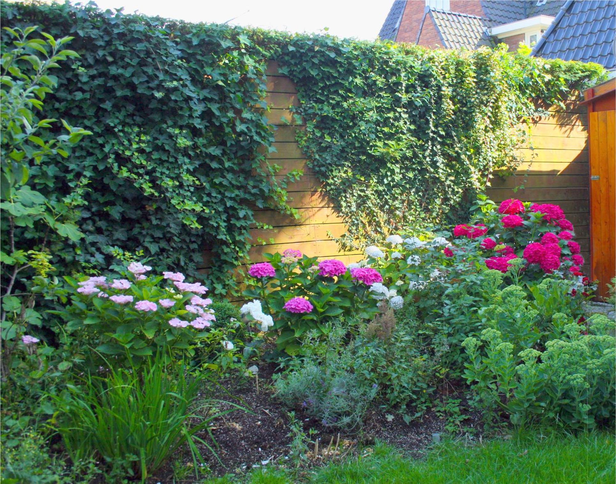 Xaviera'S Bed And Breakfast Amsterdam Extérieur photo