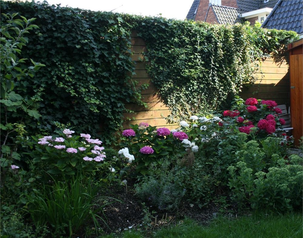 Xaviera'S Bed And Breakfast Amsterdam Extérieur photo