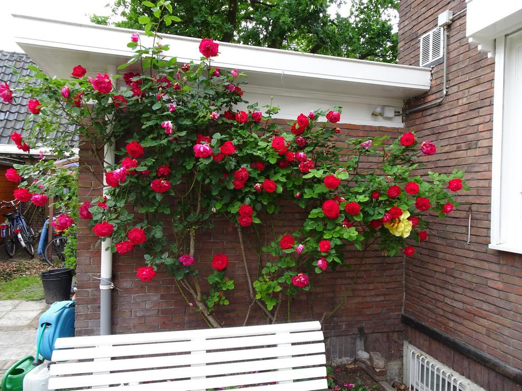 Xaviera'S Bed And Breakfast Amsterdam Extérieur photo
